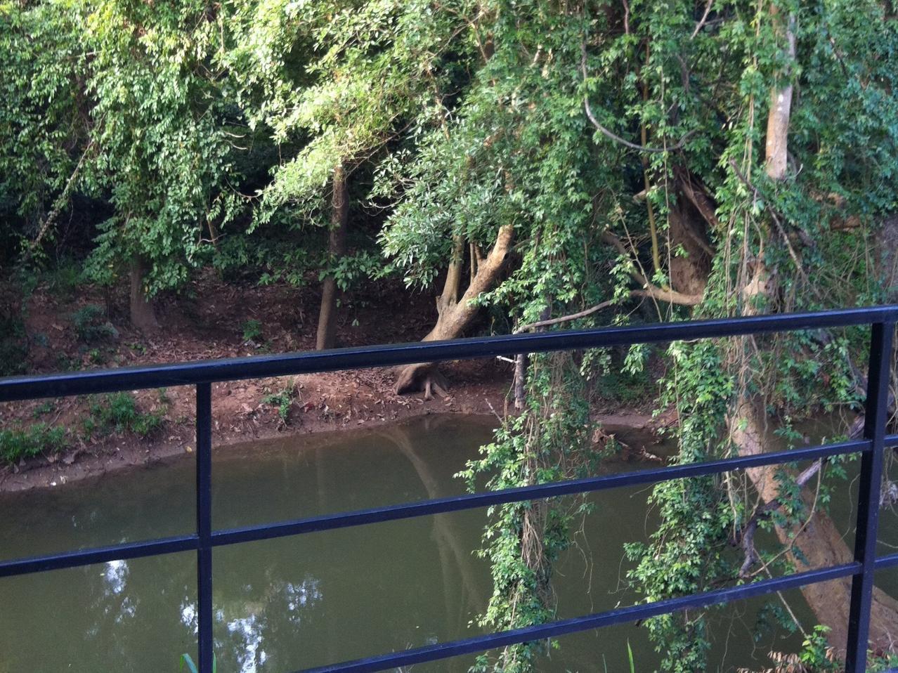 The Creek At Khao Yai Hotel Pak Chong Eksteriør billede