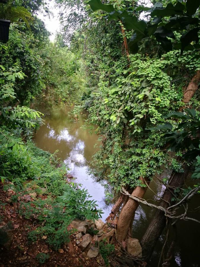 The Creek At Khao Yai Hotel Pak Chong Eksteriør billede